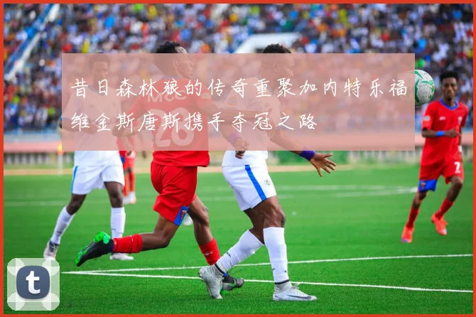 昔日森林狼的传奇重聚加内特乐福维金斯唐斯携手夺冠之路